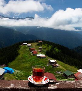 Batı Karadeniz Turları