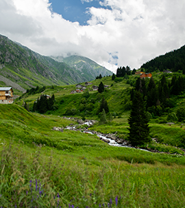 Karadeniz Turları