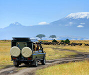 Kenya Safari