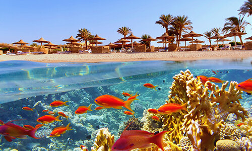 Sharm El Sheikh Turları
