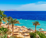 Sharm El Sheikh Turları